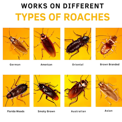 Cockroach Killer Gel